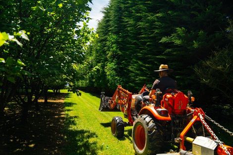 Photo of property in 459 Flora East, Makarewa, Invercargill, 9876