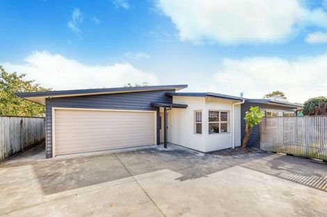 Photo of property in 36c Fitzroy Street, Terrace End, Palmerston North, 4410
