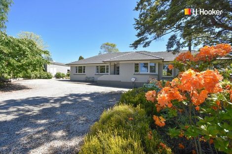 Photo of property in 22 Saddleview Place, Fairfield, Dunedin, 9018