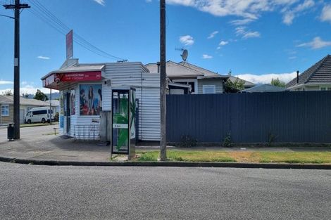Photo of property in 2 Middlesex Street, Levin, 5510
