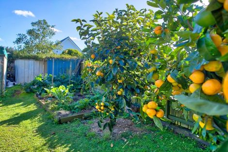 Photo of property in 362 Kamo Road, Te Kamo, Whangarei, 0112