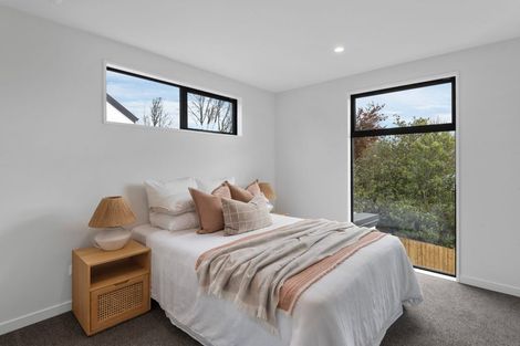 Photo of property in 119 Garlands Road, Hillsborough, Christchurch, 8022