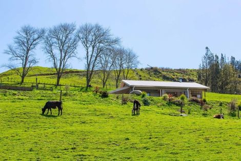 Photo of property in 512 Waitetuna Valley Road, Waitetuna, Raglan, 3295