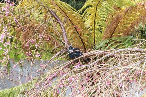 Photo of property in 22 Bridge Road, Birchville, Upper Hutt, 5018