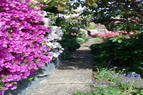 Photo of property in 16 Lisburn Avenue, Caversham, Dunedin, 9012