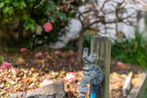 Photo of property in 1/47 Stredwick Drive, Torbay, Auckland, 0630