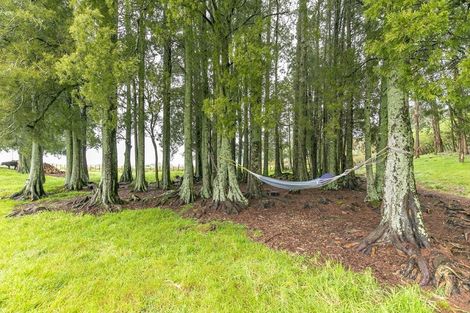 Photo of property in 265c Hakarimata Road, Ngaruawahia, 3793