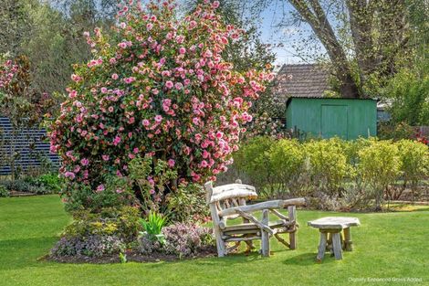 Photo of property in 7 Matai Street, Pleasant Point, 7903