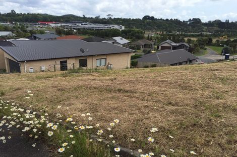 Photo of property in 19 Caldera Crescent, Pyes Pa, Tauranga, 3112