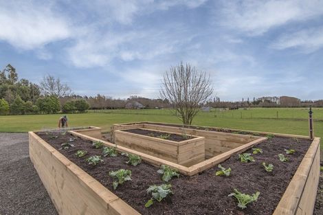 Photo of property in 300 Perymans Road, Lincoln, Christchurch, 7672