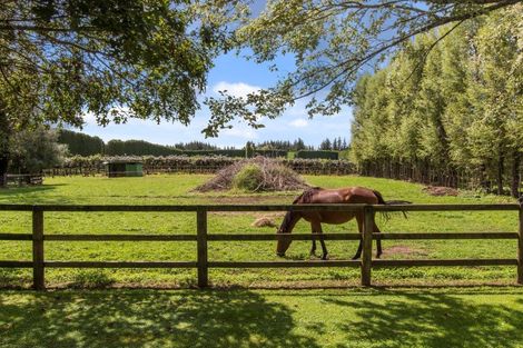 Photo of property in 54 Griffin Road, Omanawa, Tauranga, 3171