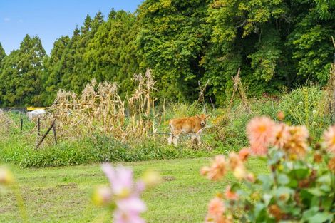 Photo of property in 288 Oropi Gorge Road, Oropi, Tauranga, 3173