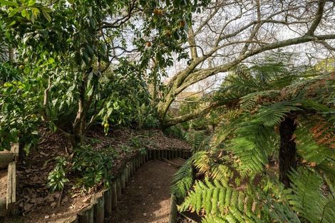 Photo of property in 55 Moehau Street, Te Puke, 3119