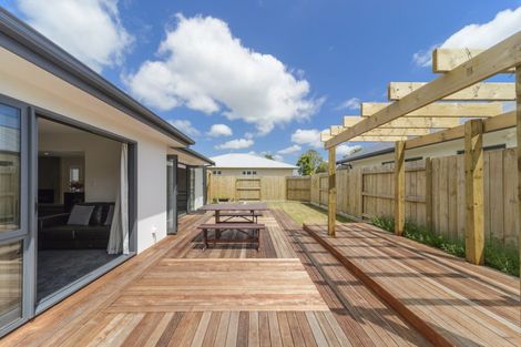 Photo of property in 113b Ferguson Street, West End, Palmerston North, 4412