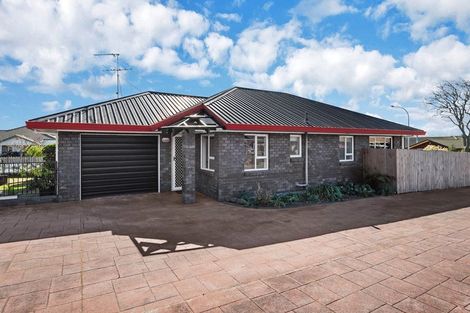Photo of property in 25b Cooper Street, Pukekohe, 2120