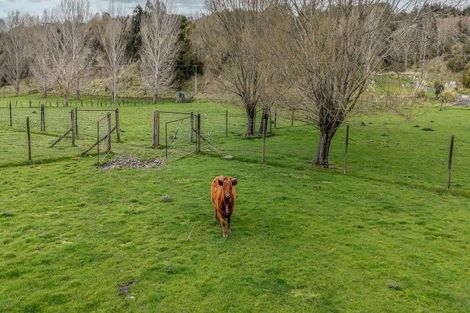 Photo of property in 93 Black Rock Road, Te Ore Ore, Masterton, 5886