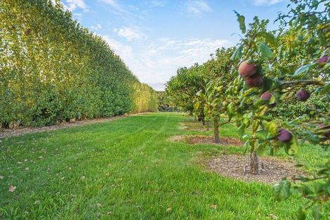 Photo of property in 130 Merton Road, Fernside, Rangiora, 7471