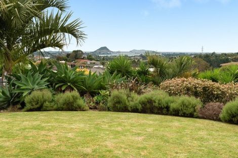 Photo of property in 31 Upper Ohauiti Road, Ohauiti, Tauranga, 3173