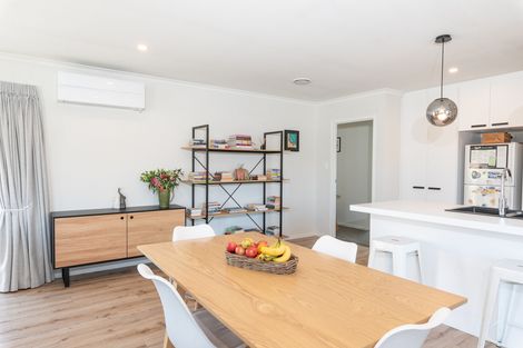 Photo of property in 48 Larch Crescent, Alexandra, 9320