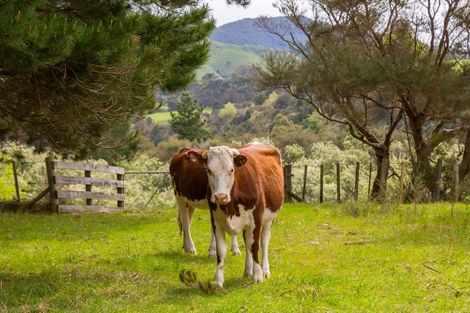 Photo of property in 960 Norfolk Road, Upper Plain, Carterton, 5791