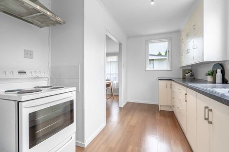 Photo of property in 85 Hamilton Street, East Gore, Gore, 9710