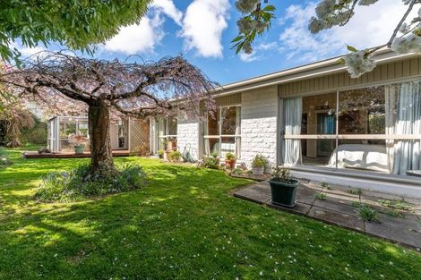 Photo of property in 58 Mountain View Road, Glenwood, Timaru, 7910