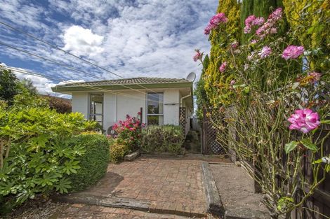 Photo of property in 1/54 Sapphire Street, Casebrook, Christchurch, 8051