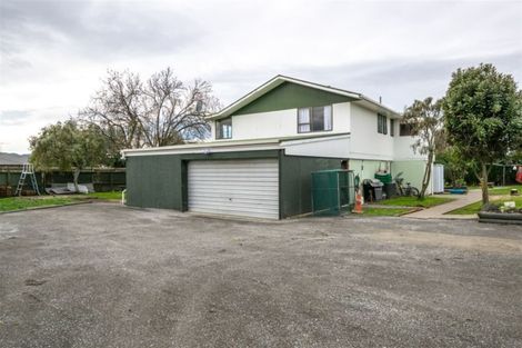 Photo of property in 29 Clyde Street, Renwick, 7204