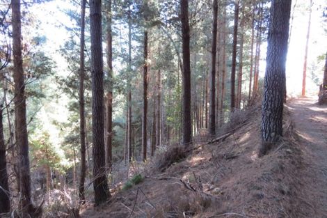 Photo of property in 4573 Shenandoah Highway, Maruia, Reefton, 7077