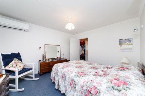 Photo of property in 101 Lincoln Street, Ashhurst, 4810