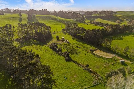 Photo of property in 276 Taiapa Road, Muriwai, 0881