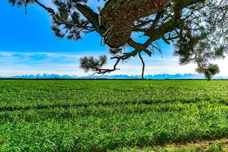 Photo of property in 158 Bealey Road, Kirwee, Christchurch, 7671