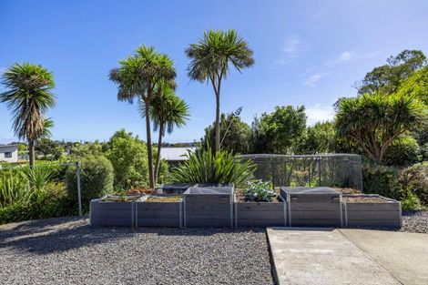 Photo of property in 25 Manukau Road, Raglan, 3225