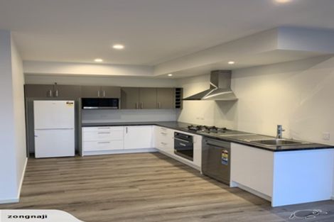 Photo of property in 4 Luckie Lane, Queenstown Hill, Queenstown, 9300