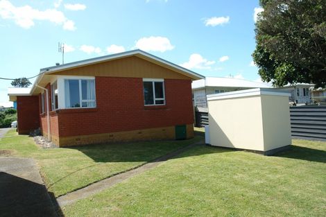 Photo of property in 29 Chester Street, Patea, 4520