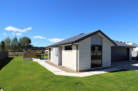 Photo of property in 22 Brooke Place, Alexandra, 9320