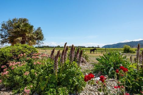 Photo of property in 113 Rarangi Road, Rarangi, Blenheim, 7273