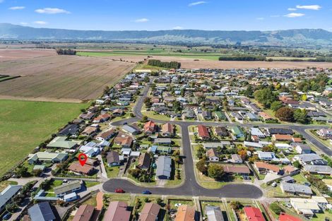 Photo of property in 13 Titoki Street, Matamata, 3400