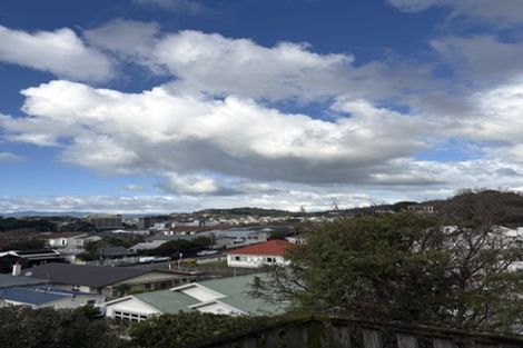 Photo of property in 17 Hargreaves Street, Mount Cook, Wellington, 6021