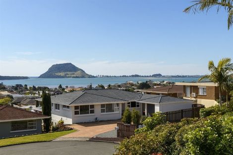 Photo of property in 10 Hazel Terrace, Otumoetai, Tauranga, 3110