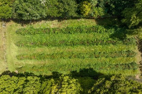 Photo of property in 3687 State Highway 12, Taheke, Kaikohe, 0473