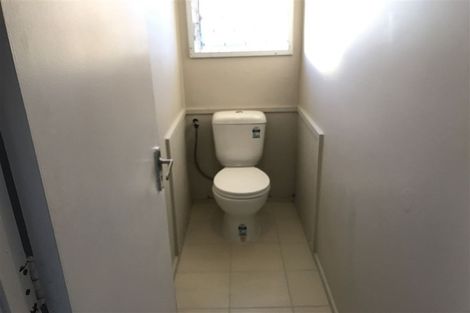 Photo of property in 67 Webster Avenue, Mount Roskill, Auckland, 1041