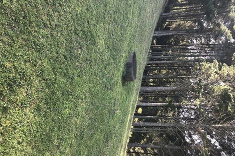 Photo of property in 75 Parakiore Road, Ngararatunua, Whangarei, 0176