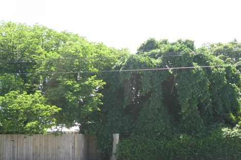 Photo of property in 125 Somerfield Street, Somerfield, Christchurch, 8024