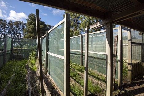 Photo of property in Pouto Road, Dargaville, 0371