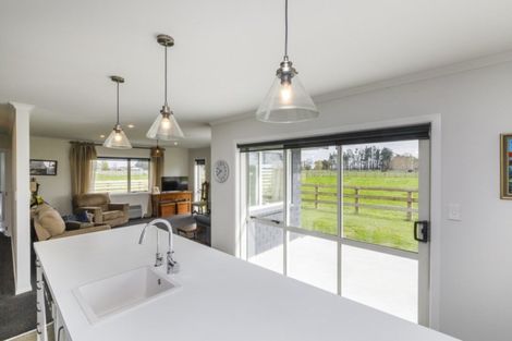 Photo of property in 541 Newbury Line, Bunnythorpe, Palmerston North, 4775