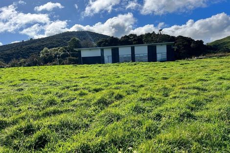 Photo of property in 374 Mangatea Road, Te Hoe, Ohinewai, 3784