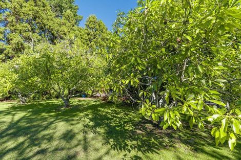 Photo of property in 47 Bruntwood Drive, Whakamarama, Tauranga, 3172