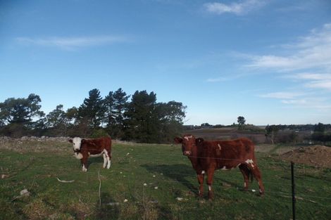 Photo of property in 201 Oamaru-alma Road, Deborah, Oamaru, 9491