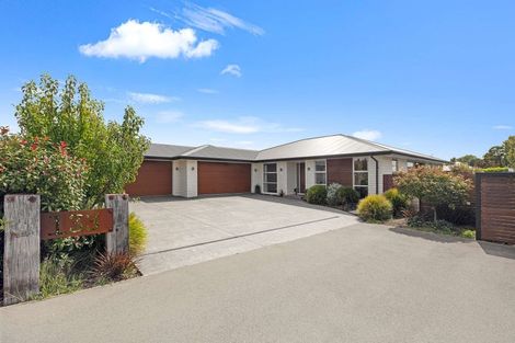 Photo of property in 133 Jimmy Adams Terrace, Lincoln, 7608